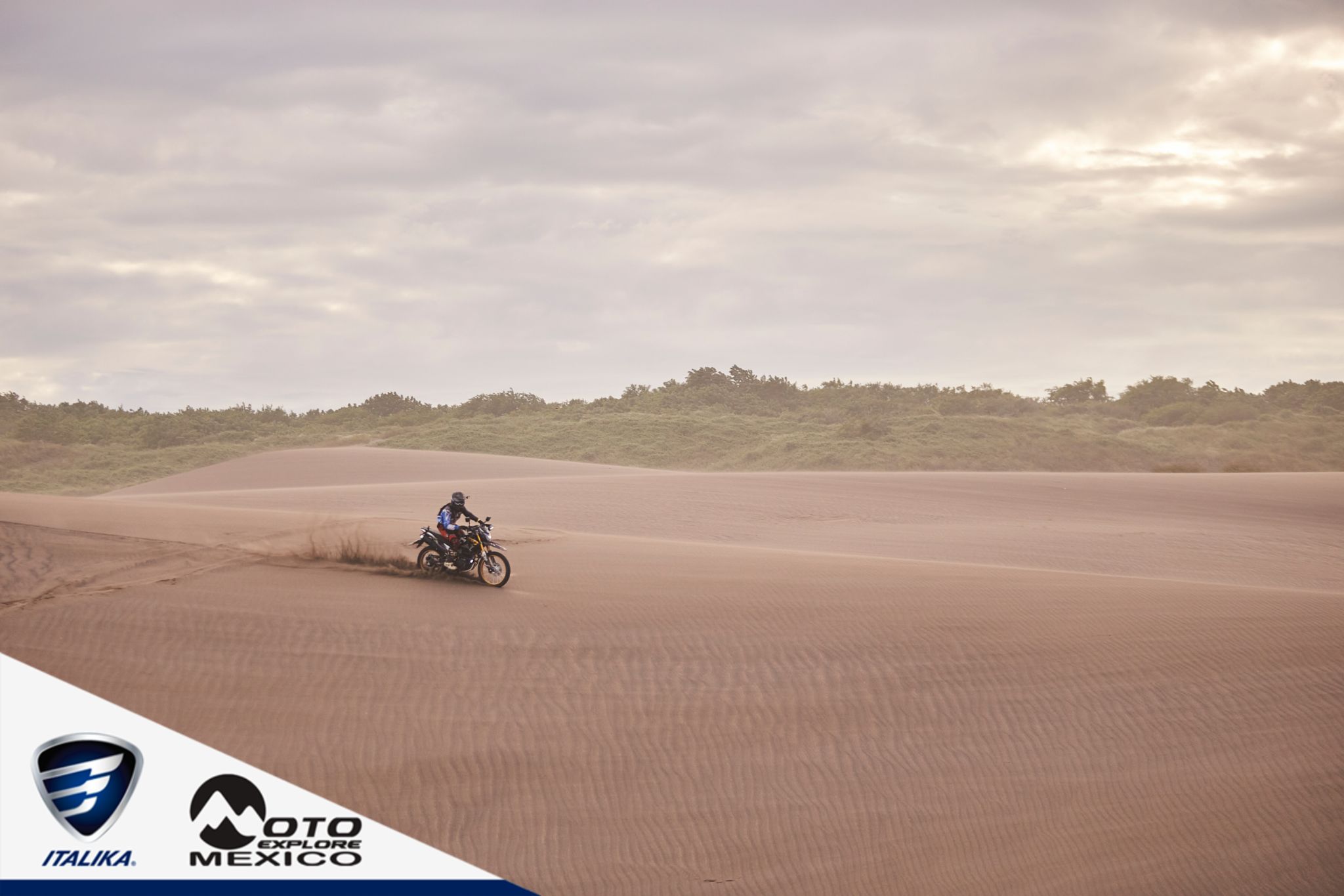 ITALIKA CHACHALACAS D2 497